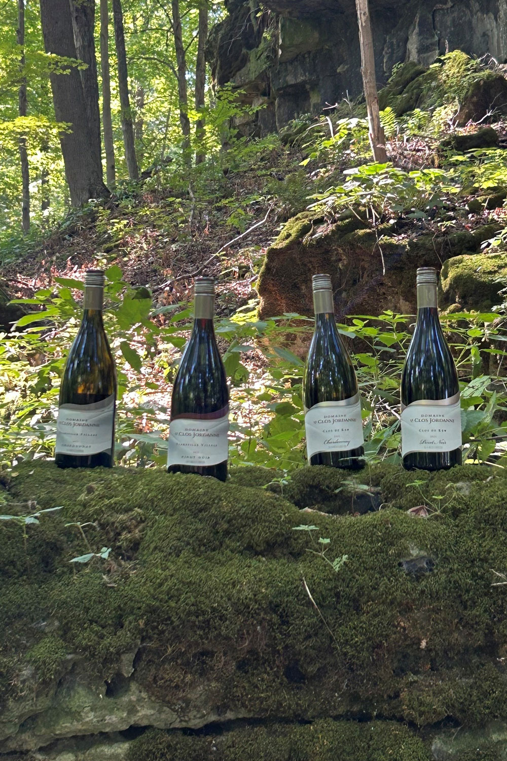 The Next Chapter Beyond Jordan